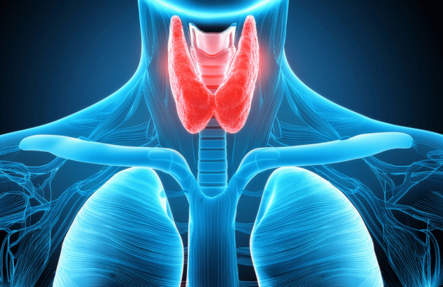 Best Endocrine and Breast Surgeon in Guwahati